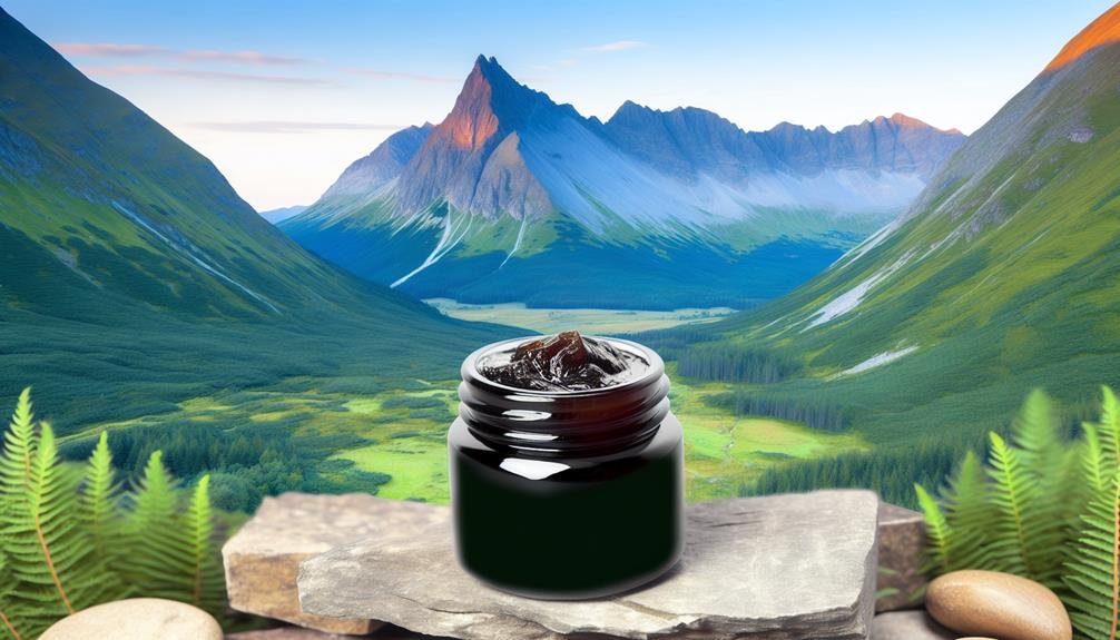 shilajit and aging benefits